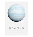 Citatplakat Plakat - A3 - Uranus