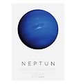 Citatplakat Plakat - A3 - Neptun