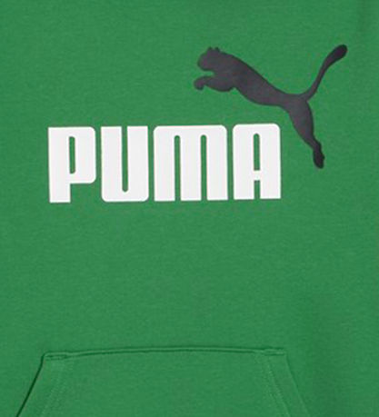 Puma Httetrje - Ess+ Logo hoodie FL B - Archive Green