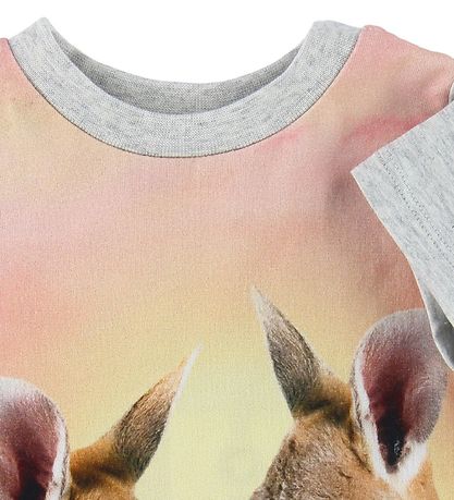 Molo T-shirt - Elly - Cute Kangaroos