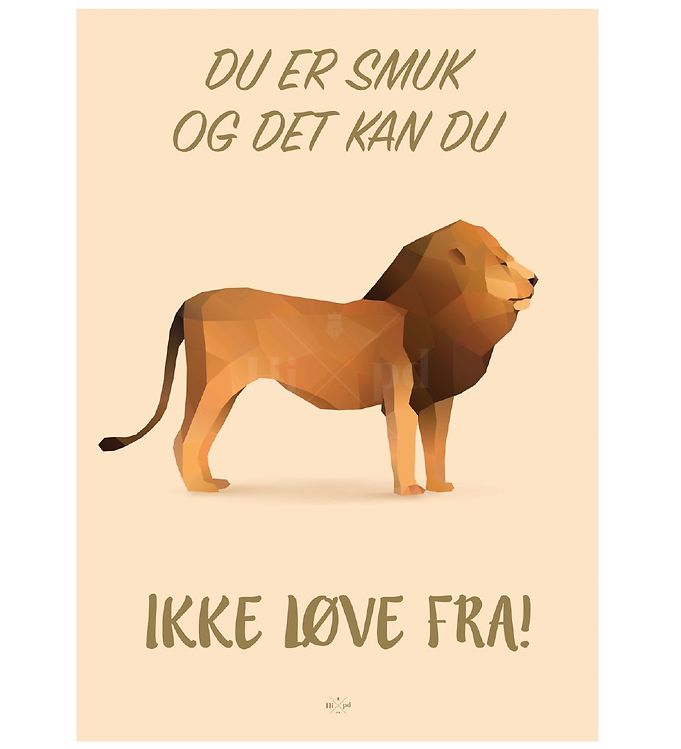 Hipd Plakat - A3 Løve Fra » Gratis hjemmelevering Danmark