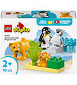 LEGO® DUPLO - Vilde Dyrefamilier: Pingviner og Løver 10442 - 10