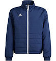 adidas Performance Dynejakke - ENT22 LJKTY - TENABL