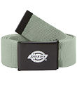 Dickies Bælte - Orcutt - Iceberg Green