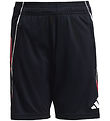 adidas Performance Shorts - Tiro25C TR - Black/Tepore