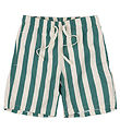 The New Badeshorts - TnNibes - Bottle Green Striped