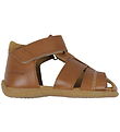 Angulus Sandaler - Cognac