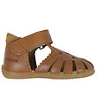 Angulus Sandaler - Cognac
