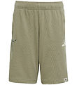 adidas Performance Shorts - JB CW - Clay