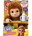 Little Live Pets - My Baby Monkey