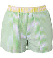 Hound Shorts - Striped - Power Green