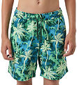 Björn Borg Badeshorts - Print - Grøn/Blå m. Palmer