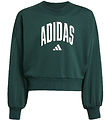 adidas Performance Sweatshirt - JG CLGT FT - Aurivy/Hvid