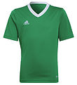 adidas Performance T-shirt - ENT22 - Teagrn/White