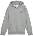 Puma Hoodie - ESS Small No. 1 Logo - Grey