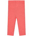 Hust and Claire Leggings - Lisa Pointelle Flower - Wild Coral