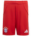 adidas Performance Shorts - FCB H - Red