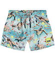 Molo Badeshorts - UV50+ - Niko - Marine Turtles
