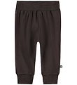 Molo Sweatpants - Sammy - Dark Cocoa