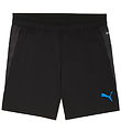 Puma Sportsshorts - Cup Training - Sort m. Blå