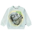 Molo Sweatshirt - Disc - Koalaty Time
