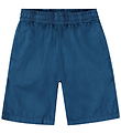 Molo Shorts - Arrow - Best Blue