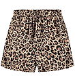 Molo Shorts - Aisia - Jaguar Melon