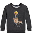 Polo Ralph Lauren Sweatshirt - Classics - Grå