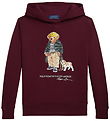Polo Ralph Lauren Hættetrøje - Classics - Wine