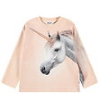 Molo Sweatshirt - Mountoo - Born a Unicorn