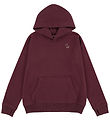 Abercrombie & Fitch Hættetrøje - Fig