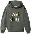 Calvin Klein Hættetrøje - Color Logo - Thyme Green
