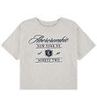 Abercrombie & Fitch T-shirt - Oatmeal Heather