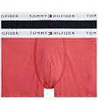 Tommy Hilfiger Boxers - 2-Pack - Frosted Cranberry/Desert Sk