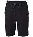 Hound Shorts - Loose Dude - Black