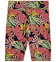 The New Shorts - Calypso Cycle - Tropic