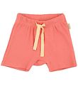 Petit Piao Shorts - Modal - Dark Peach