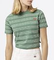 Dickies T-shirt - Cropped - Westover - Dark Ivy m. Striber