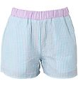 Hound Shorts - Stripe  - Light Blue