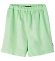 LMTD Shorts - NlfHim - Patina Green