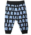 Marni Sweatpants - Navy m. Lysebl