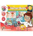 Liniex Science4you Sæt - Human Body