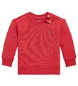 Polo Ralph Lauren Sweatshirt - Classics II - Rød