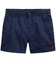 Polo Ralph Lauren Shorts - Prepster - Classics I - Navy