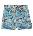 Molo Shorts - Simroy - Ancient Ocean