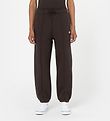 Dickies Sweatpants - Mapleton - Dark Brown