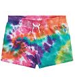 Polo Ralph Lauren Sweatshorts - Summit - Rainbow