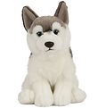 Living Nature Bamse - 24x10 cm - Husky Hund - Grå/Hvid