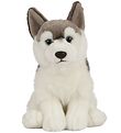 Living Nature Bamse - 24x10 cm - Husky Hund - Gr/Hvid