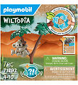 Playmobil Wiltopia - Koala m. Unge - 7 Dele - 71292